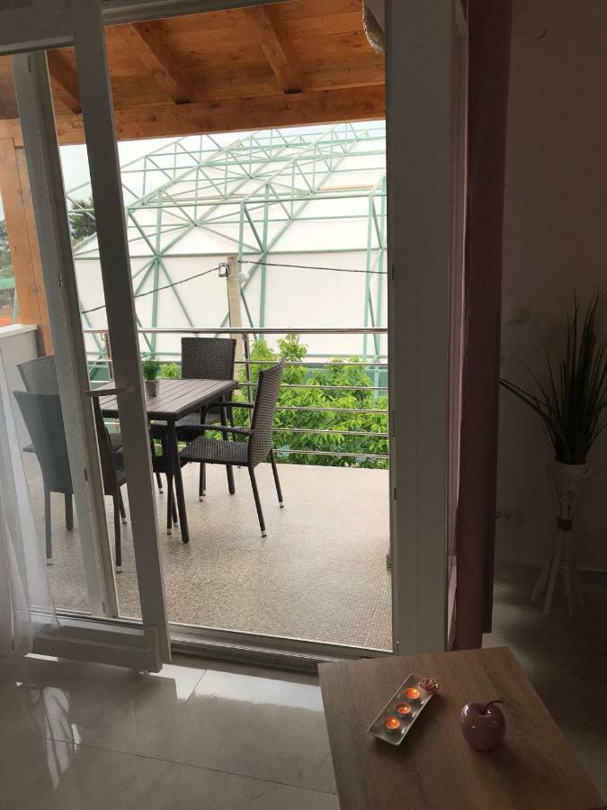 Apartament Sweet *